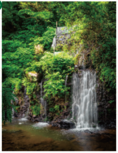 みっちゃんのおすすめ　みしまパワースポット