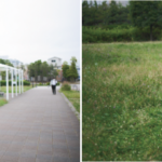 スマホで素敵な写真 トリミング編