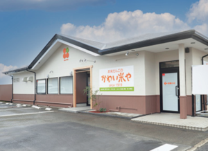 11月おすすめスポット