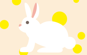 ウサギ年のウサギ豆知識